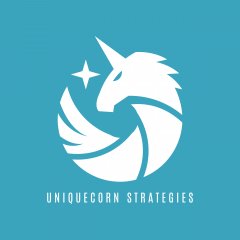 business_uniquecorn-strategies-1