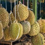 how-a-durian-man-nailed-employee-branding