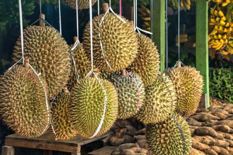 how-a-durian-man-nailed-employee-branding