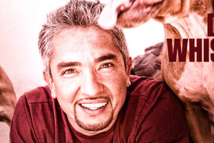 build-your-brand-through-passion,-just-like-cesar-millan