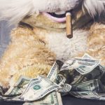 bangun-bisnis-dengan-crowdfunding,-intip-5-tips-sukses-ala-mizzen-+-main