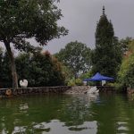 have-you-made-your-new-year