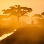 a-journey-from-the-iron-curtain-to-africa