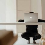 demystifying-remote-work-and-succeeding-in-the-new-normal