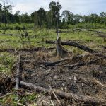 un-report-shows-greenhouse-gases-hit-an-all-time-high.-are-we-screwed?