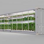 seedo-corp-appoints-avi-stern-from-wix.com-to-board-of-directors