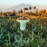 earn-better-every-month-via-this-affiliate-network