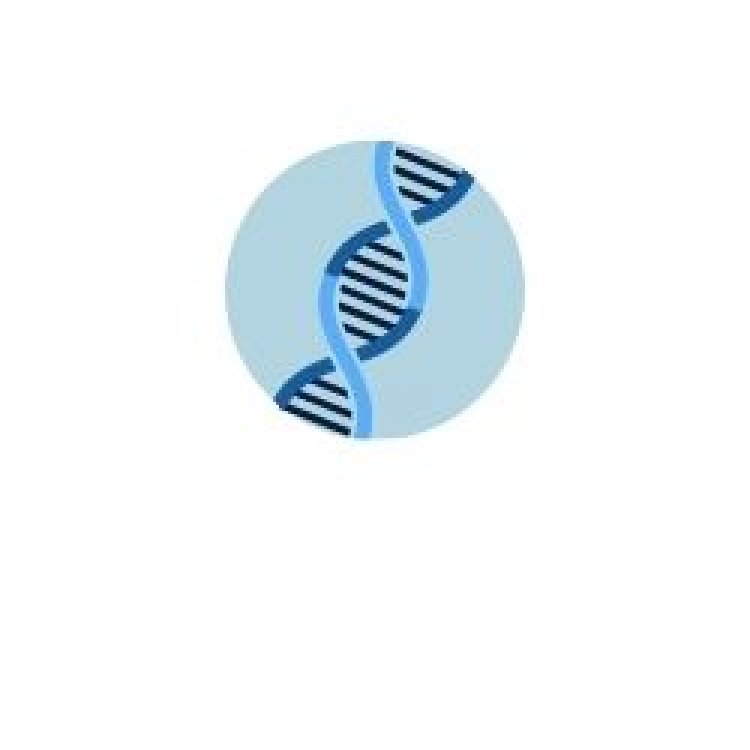 biotech-startup-helex-brings-precision-to-gene-editing