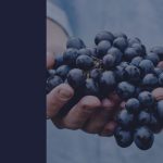 this-south-australian-5g-tech-startup-is-transforming-the-grapes-going-into-your-wine