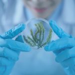 how-a-trip-to-everest-base-camp-led-twin-brothers-to-tackle-a-major-pollution-problem