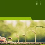 with-a-new-advisory-service,-agritech-startup-khetigaadi-aims-to-stop-india’s-farmlands-from-dying