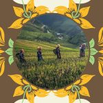 this-father-son-duo-are-producing-sustainable-animal-feeds-using-organic-waste