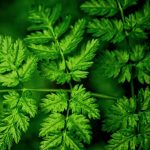 envisioning-partners-closes-on-$64m-fund-for-climate-tech-startups