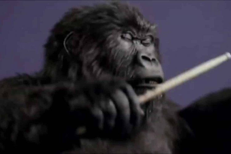 part-ii:-the-not-so-invisible-gorilla-&-understanding-emotional-advertising