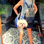 5-ideas-to-start-a-business-on-a-tropical-island