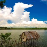 3-affordable-investments-in-growing-companies-that-will-peak-your-interest!