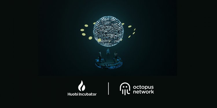 huobi-incubator-co-hosts-second-cohort-of-the-octopus-accelerator-program-with-octopus-network-to-support-web3-start-ups