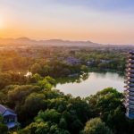 phbs-professor-ren-ting:-a-facilitated-registration-process-for-market-entities-is-the-key-step-in-fostering-an-energetic-market-environment