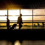 adara:-surge-in-travel-activity-between-hk-and-sg