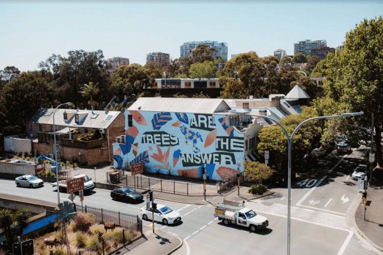 converse-partners-with-amplify-to-clean-air-in-sydney-with-‘city-forests’-campaign.