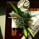 yellophant-digital-wins-digital-mandate-for-siyaram’s-cadini