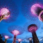 stb-launches-new-initiative-to-further-support-tourism-businesses-and-workers