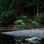 almere-based-cargors-raises-e750k-to-make-europe’s-road-freight-market-transparent