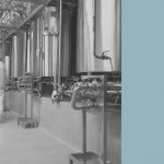 biotech-startup-using-funnel-web-spider-venom-to-treat-heart-attacks-raises-$23-million