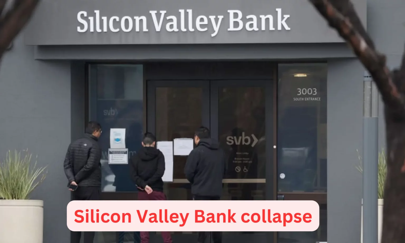 SVB Collapse