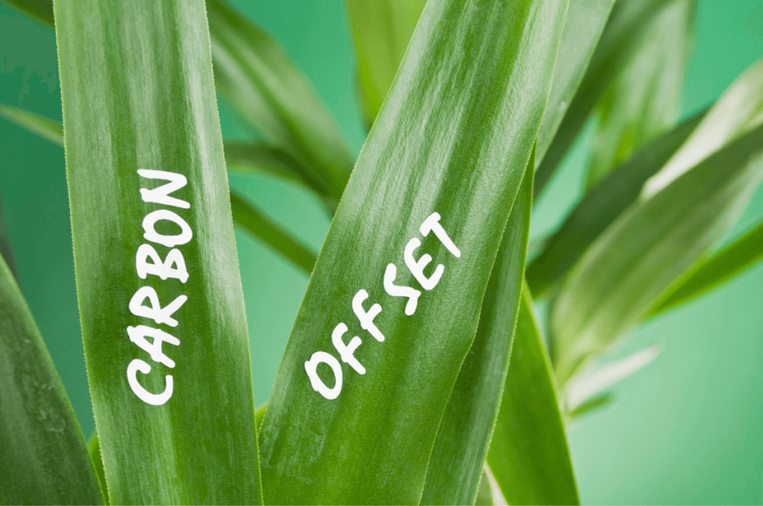 carbon offset