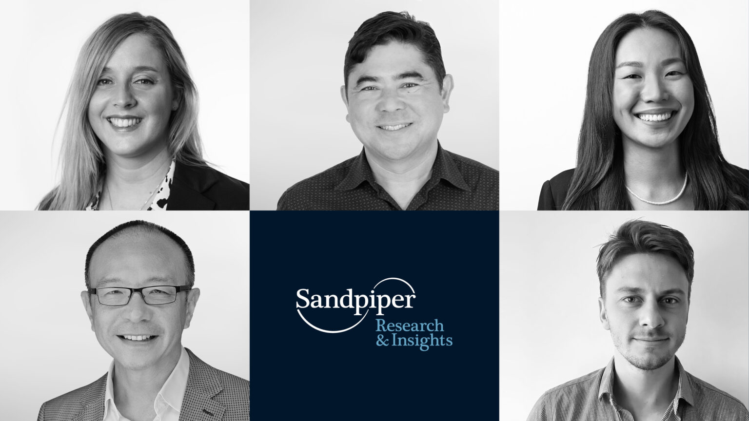 Sandpiper Group Unveils New Research Arm