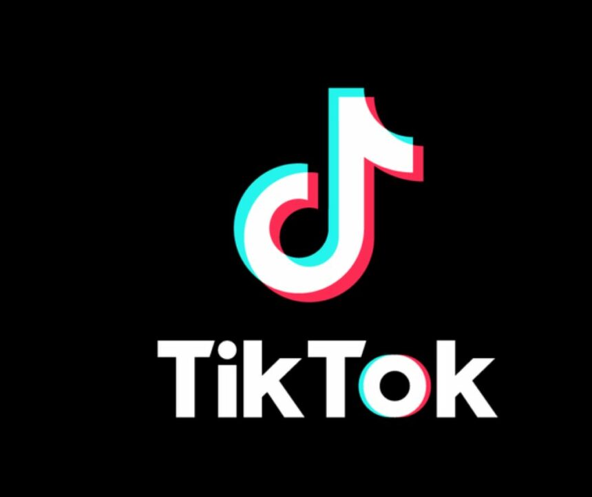 TikTok Broadens Its Creative Horizon