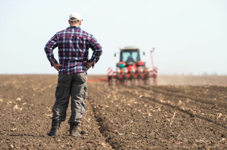 Young farmer on farmland