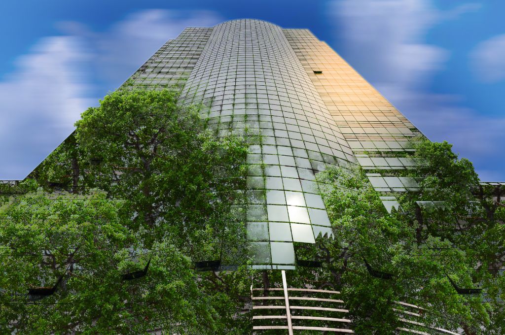 corporate building in city plants
