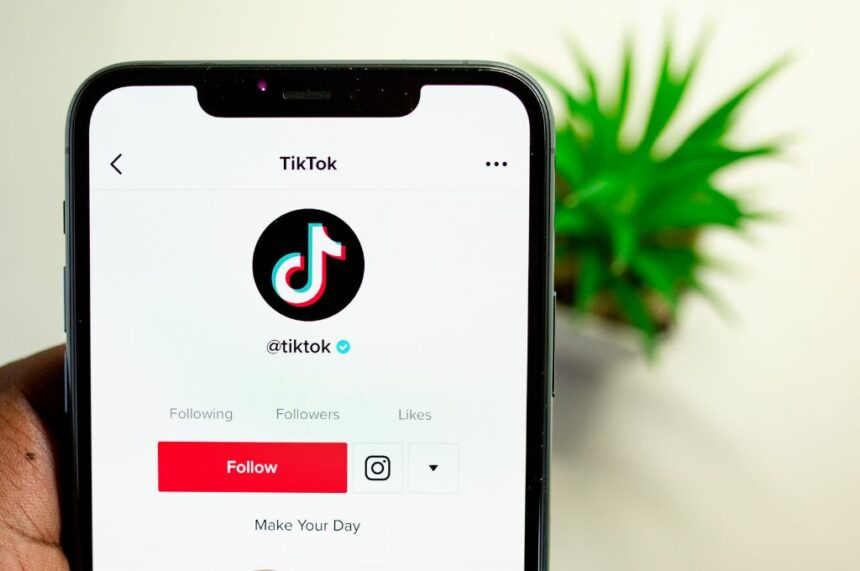 smartphone displaying tiktok profile