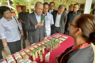 Deputy Prime Minister Datuk Seri Fadillah Yusof