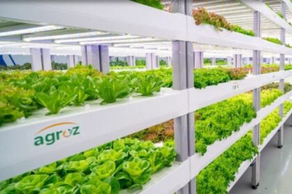 Revolutionizing Urban Agriculture Malaysia's Agroz Unveils City-Center EduFarm
