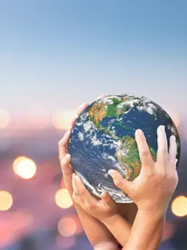 World Humanitarian Day4