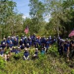 Ericsson’s flagship mangrove forest reforestation project in Malaysia