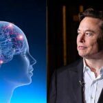 Musk's Neuralink