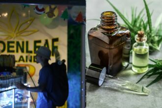 Thailand's Cannabis Conundrum