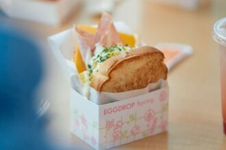 EGGDROPs-Bold-Leap-Second-International-Expansion-Unveiled