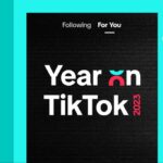 The Year That Was on TikTok An Insightful Recap