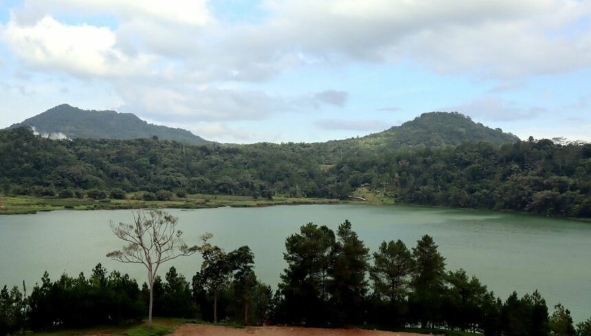 The Influence Quandary in Rural Farming