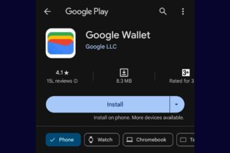 Google wallet in Google play store