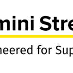 Rimini_Street_Logo