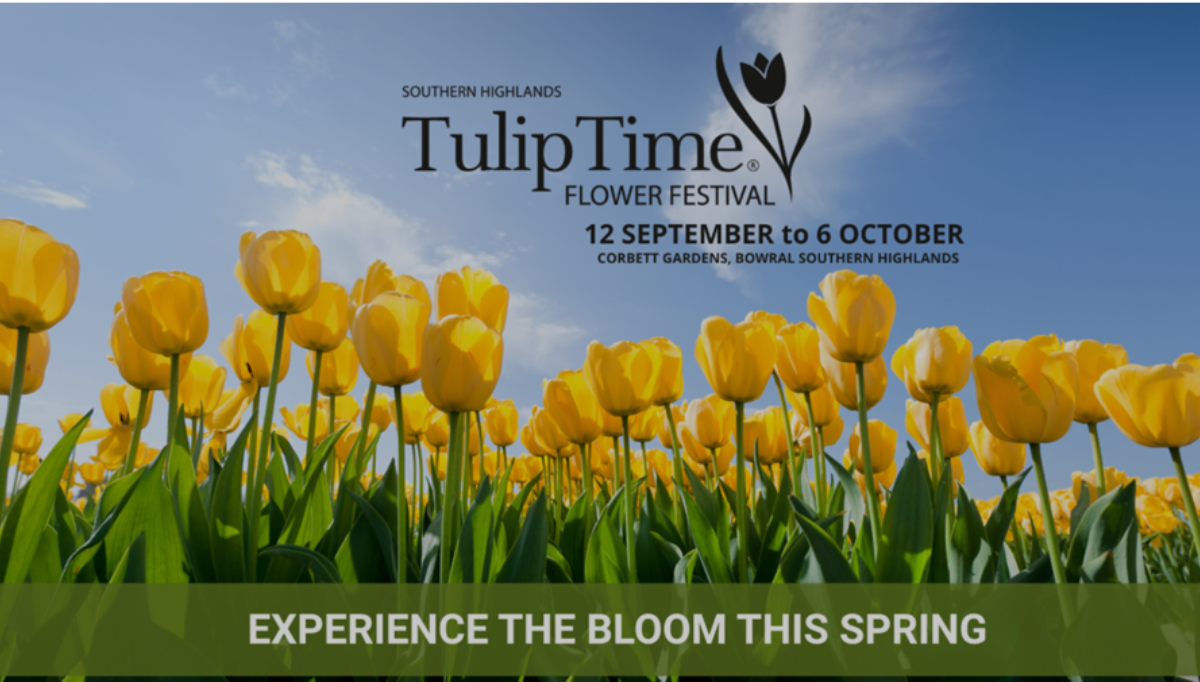 Tulip Time