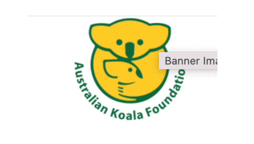 Australian Koala Foundation