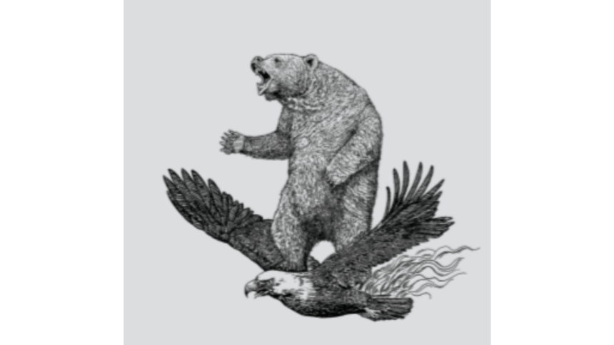 Bear meets on Eagle