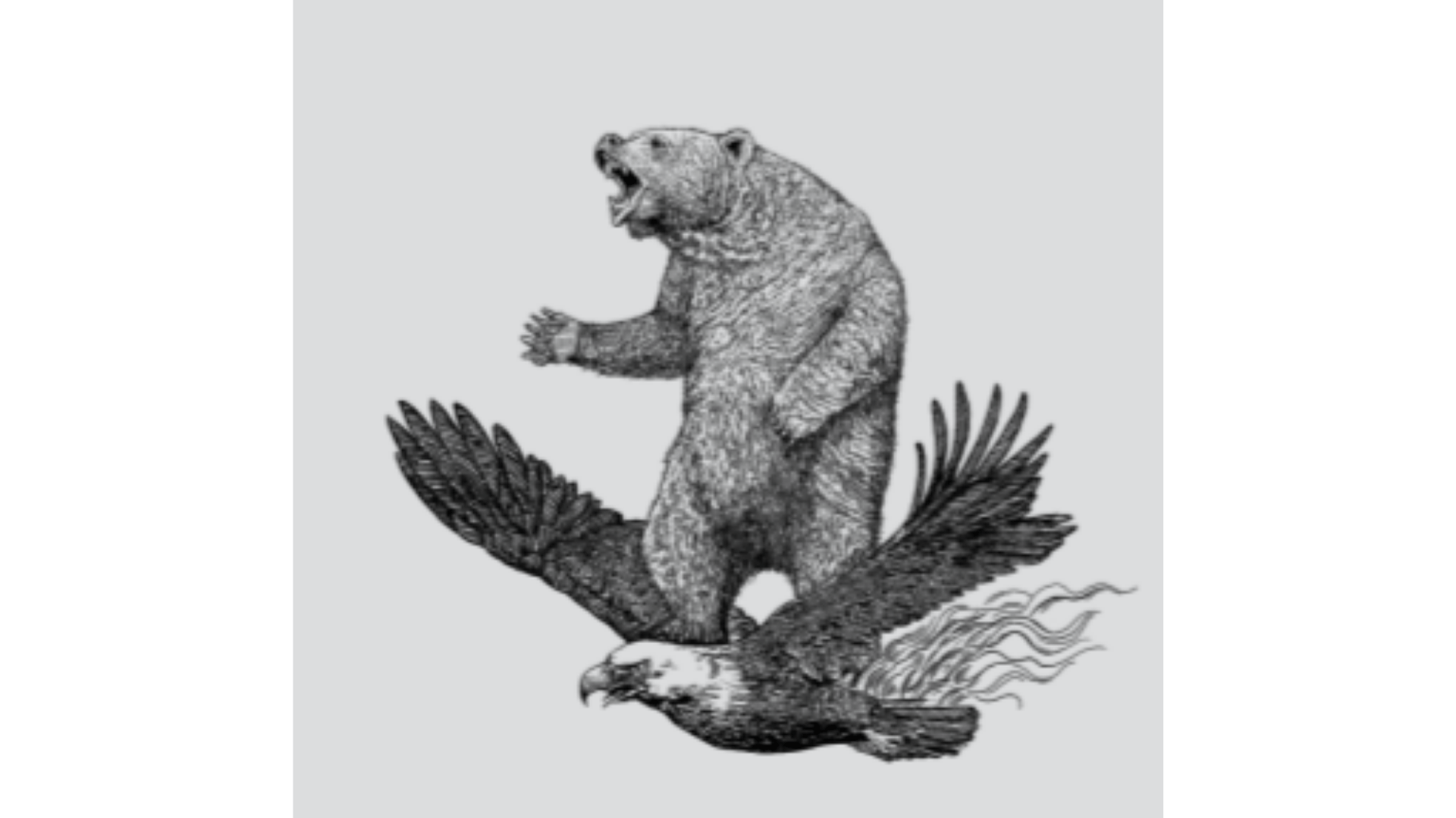 Bear meets on Eagle
